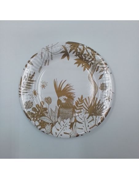 Assiettes en carton