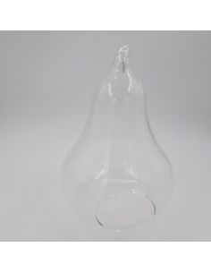 CASA - Terrarium poire. 2