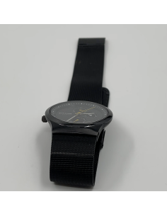 Montre Bering 2