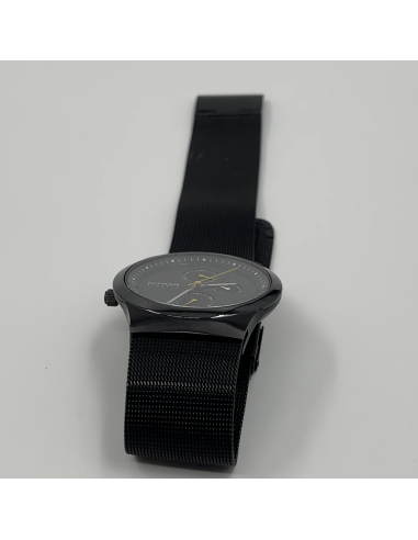 Montre Bering
