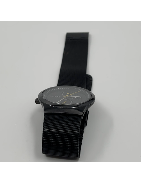 Montre Bering