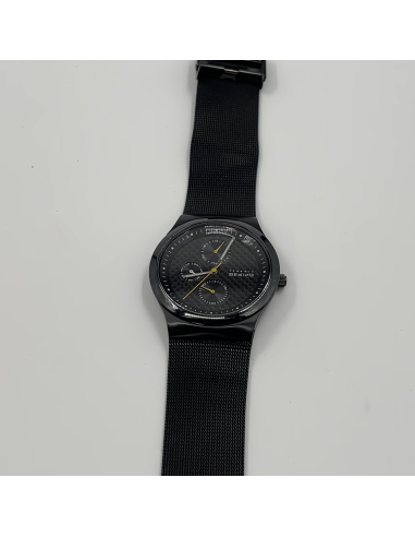 Montre Bering