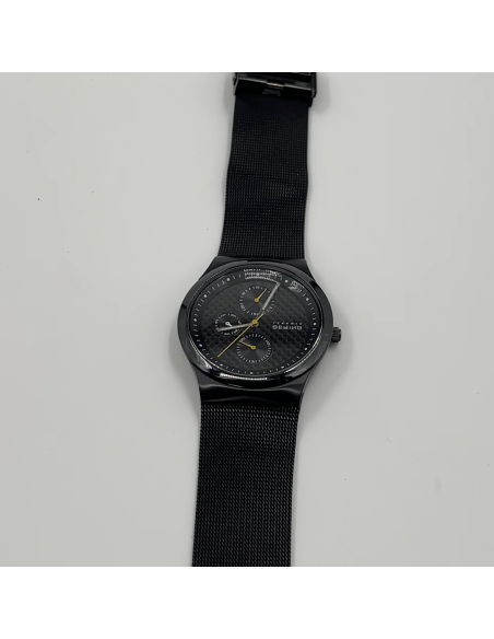 Montre Bering