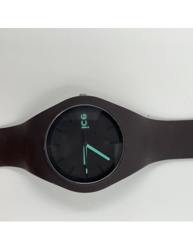 Montre Ice swatch
