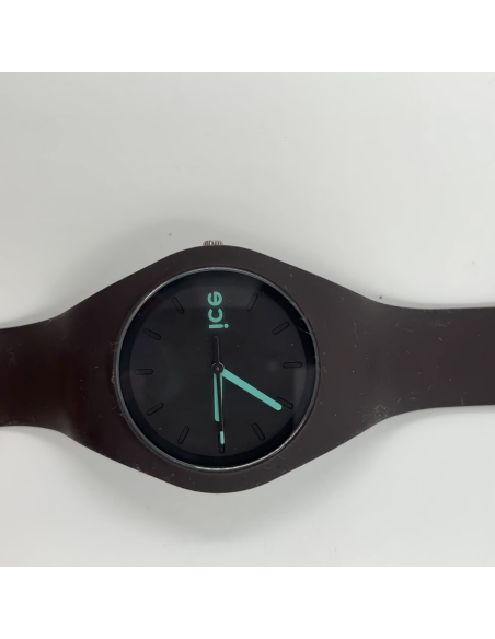 Montre Ice swatch