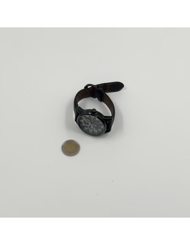 Montre Rodania