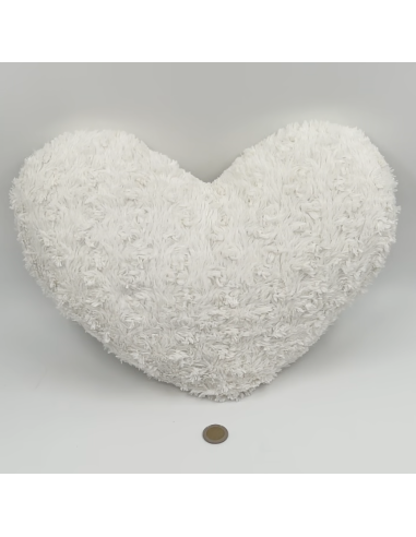 Lot de 2 coussins coeur