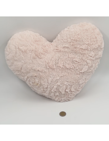 Lot de 2 coussins coeur