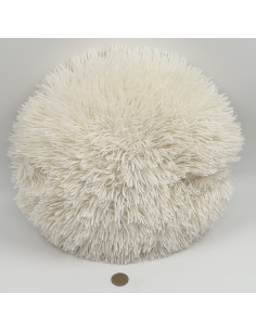 Coussin rond