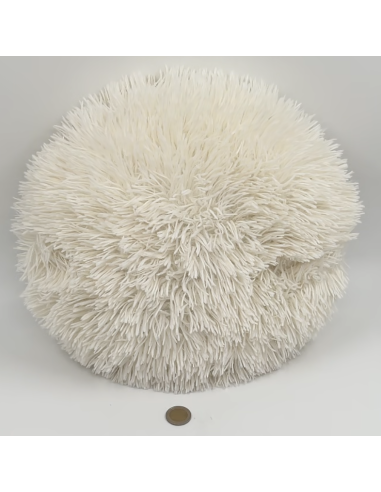 Coussin rond
