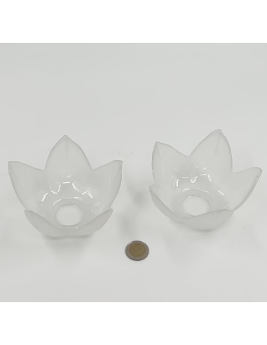 Lot de 2 coupelles