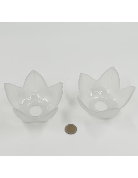 Lot de 2 coupelles