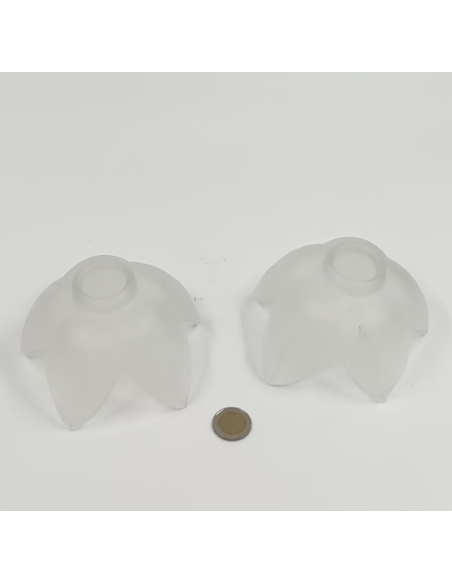 Lot de 2 coupelles