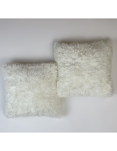 Paire de 2 coussins