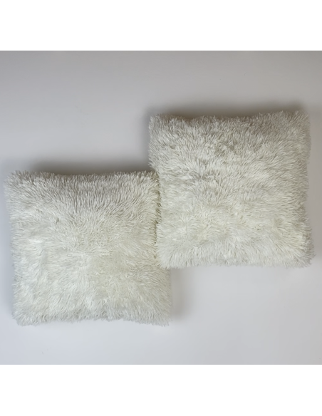 Paire de 2 coussins