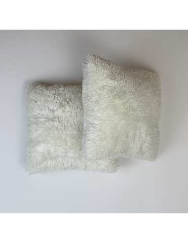 Paire de 2 coussins