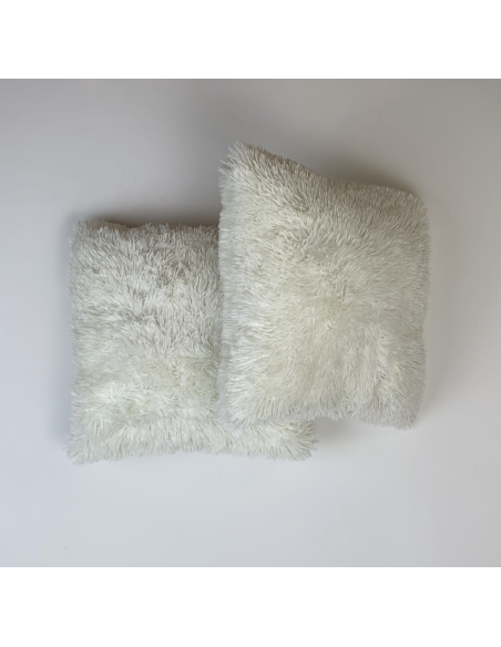 Paire de 2 coussins