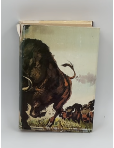 Livre " Le tour du monde en... 2
