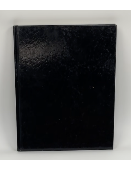 copy of Boek "Dagen van Oorlog"