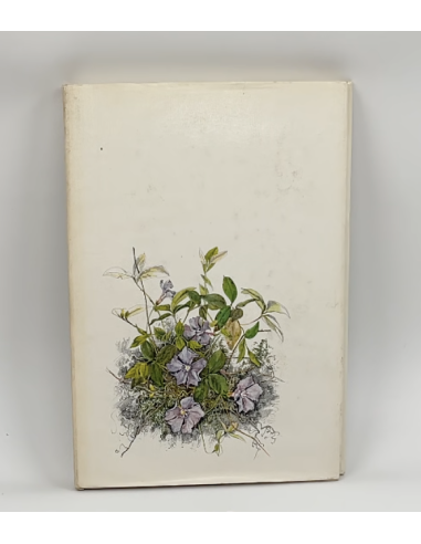 copy of Boek "Bonsai"