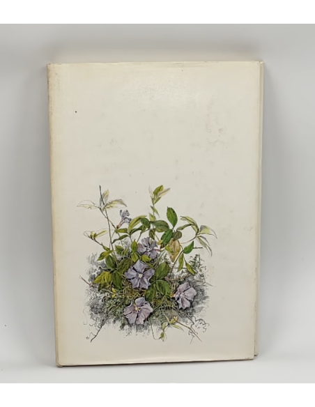 copy of Boek "Bonsai"