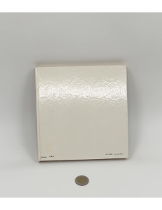 copy of Boek "Bonsai" 2