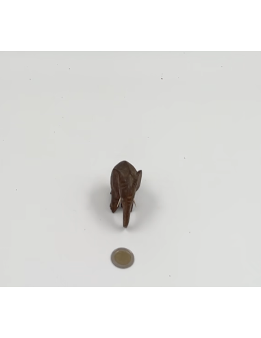 Statue éléphant