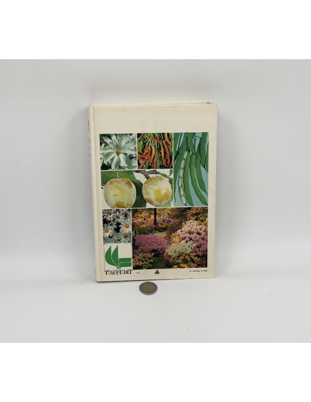 copy of Boite en bois 2 tiroirs