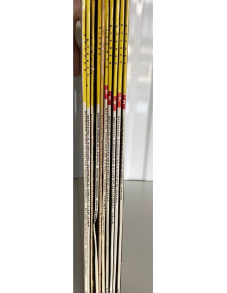 Lot de 10 vinyles de Beethoven