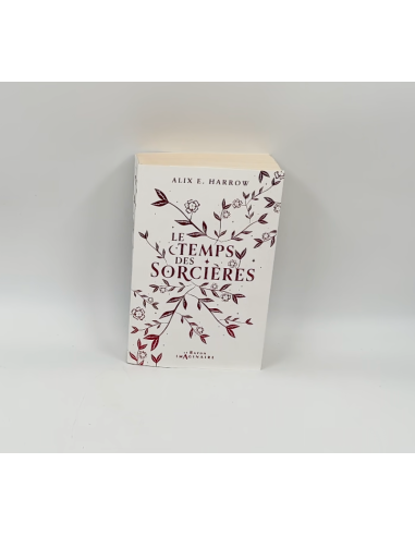 Roman "Le Temps des Sorcières"