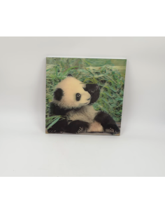 Image d'un panda