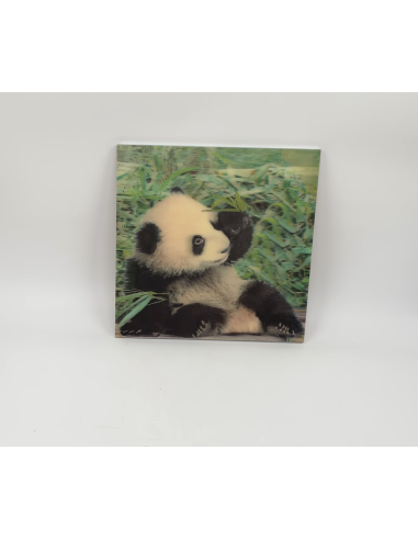 Image d'un panda