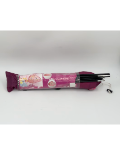 Disney Prinsessen Tent