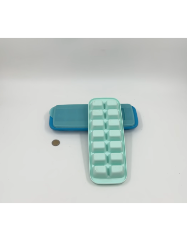 Moule à glaçons en silicone