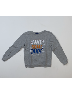 Grijze SKATE sweatshirt met...