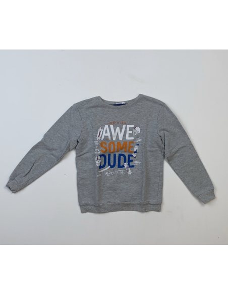 Grijze SKATE sweatshirt met opschrift