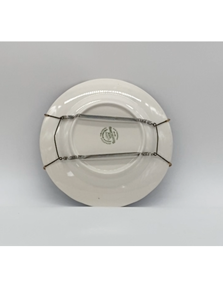 Decoratief aardewerk bord