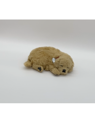 Gevulde hond
