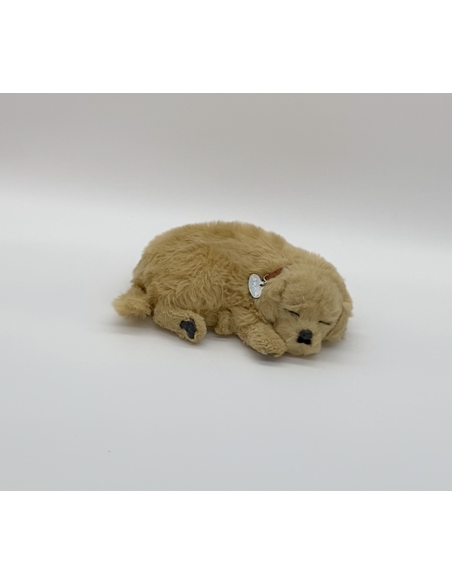 Gevulde hond