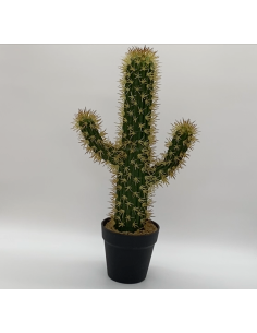 Potcactus