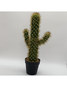 Potcactus 2
