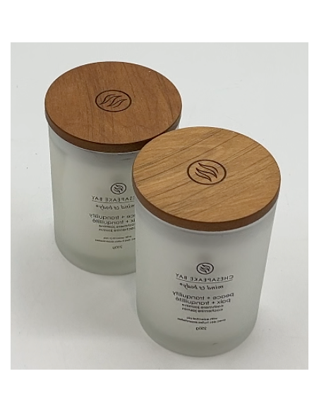 Chesapeake Bay Medium Kaars - Aroma: Kasjmier Jasmijn