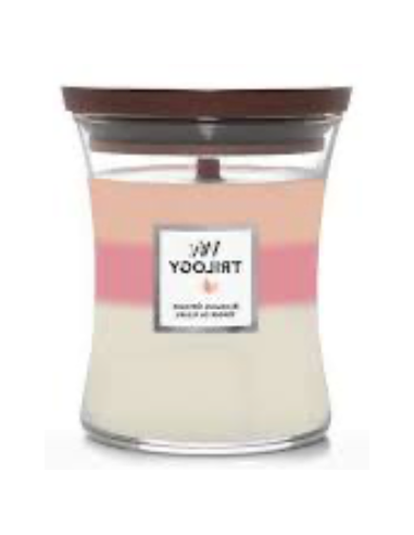 MEDIUM Woodwick Geurkaars Orchard in...