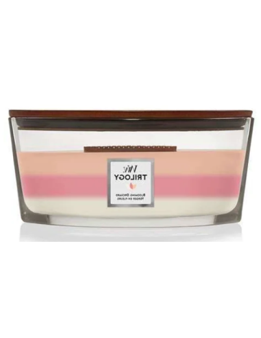 Woodwick Ellipse kaars. Geur:...