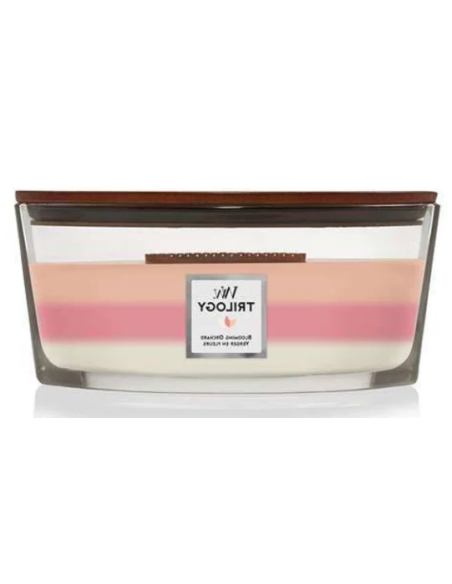 Woodwick Ellipse kaars. Geur: Bloeiende boomgaard. Brandduur 60 uur.