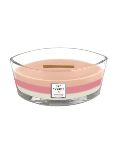 Woodwick Ellipse kaars. Geur:...