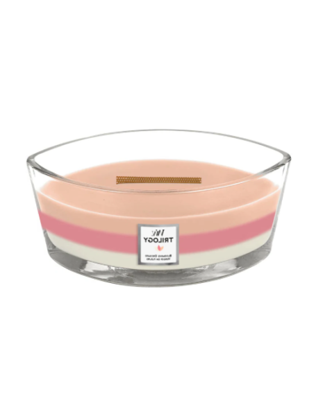 Woodwick Ellipse kaars. Geur: Bloeiende boomgaard. Brandduur 60 uur.