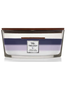 Woodwick Ellipse kaars....