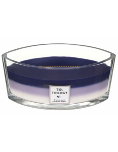Woodwick Ellipse kaars.... 2