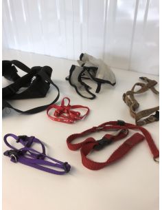 Set harnassen voor honden... 2